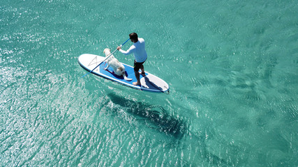 Aerial photo of man sup paddling with his cute dog in caribbean tropical beach with turquoise waters - Powered by Adobe