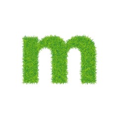 Fototapeta na wymiar Green grass letter m on white background.