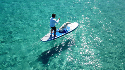 Aerial photo of man sup paddling with his cute dog in caribbean tropical beach with turquoise waters