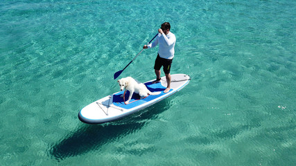 Aerial photo of man sup paddling with his cute dog in caribbean tropical beach with turquoise waters