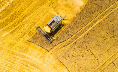 Aerial view of combine harvester. Harvest of rapeseed field. Industrial background on agricultural...