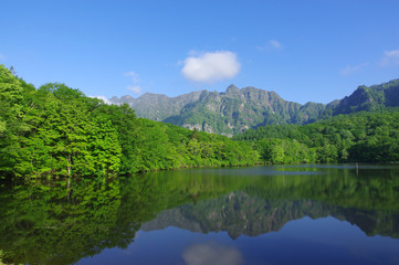 初夏の鏡池