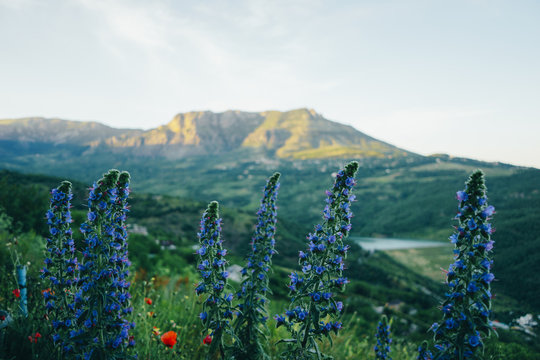 Republic of Crimea