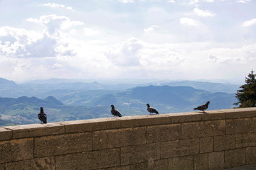 four pigeons on the balustrade of the freedom square looking panorama,san marino republic