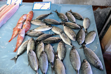 traditional fish market at Corfu town (Kerkyra) in greece