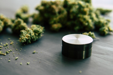 crushed weed in a grinder for chopping a canapis on a black table Macro of marijuana with trichomes...