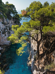 Pine trees on a rock over crystal clear turquoise water near Cape Amarandos at Skopelos island, Greece