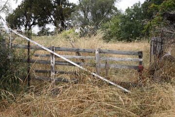 Fototapeta na wymiar Farm gate and long grass