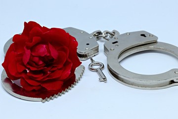 Handschellen und Rose