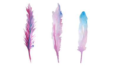 watercolour feathers illustration 