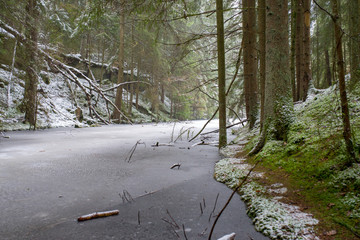 See im Wald im Winter