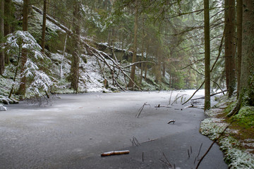 See im Wald im Winter