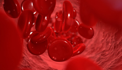 Blood Cells In A Vein