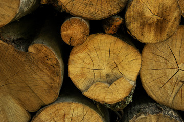 Naklejka premium Wooden decks in section. Background.