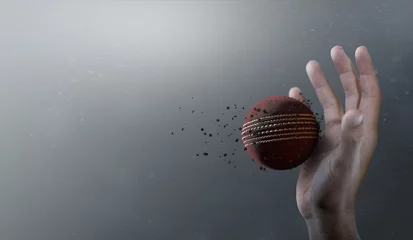 Foto op geborsteld aluminium Bol Cricket Ball In Flight