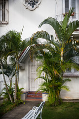 Havana street