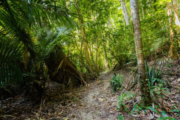 Jungle trekking to secret beach
