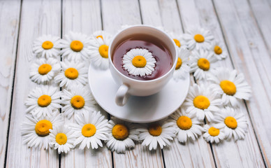 Cup of beauty chamomile tea with fresh daisies. White fresh flowers on a light gray vintage wooden background. The concept of a sedative.