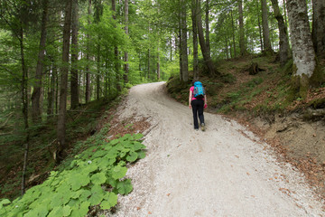 3-Seen-Wanderung Krün