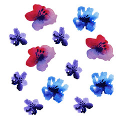 Fototapeta na wymiar watercolour flower illustration 
