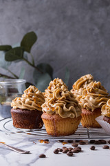 Fresh baked homemade cupcakes with coffee buttercream and caramel standing on cooling rack with eucalyptus branch and coffee beans above over white marble kitchen table.