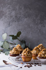 Fototapeta na wymiar Fresh baked homemade cupcakes with coffee buttercream and caramel standing on cooling rack with eucalyptus branch and coffee beans above over white marble kitchen table.