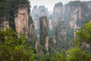 Zhangjiajie Forest Park. Gigantic pillar mountains rising from the canyon. Hunan province, China.