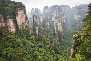 Fototapeta na wymiar Zhangjiajie Forest Park. Gigantic pillar mountains rising from the canyon. Hunan province, China.