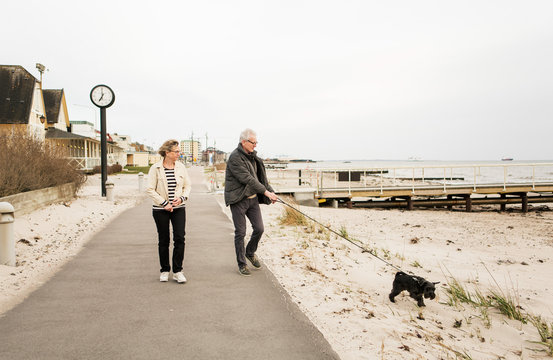 Senior couple walking with dog by beach
