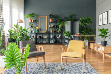 Two chairs standing in a botanic living room interior with woode