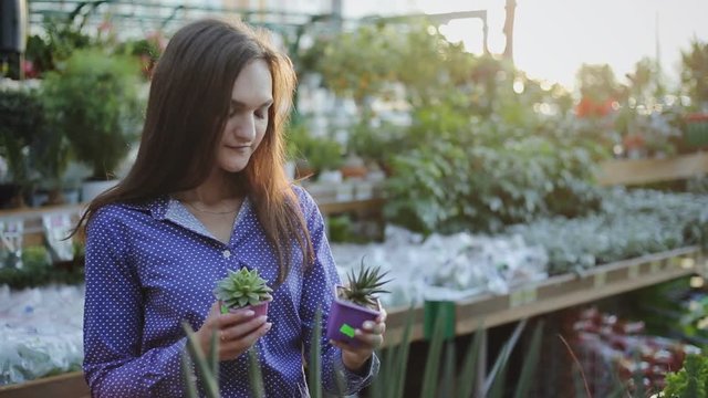 Young woman buying green cactus at a garden center