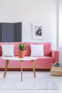 Plant on wooden table in front of pink sofa with white pillows in living room interior. Real photo
