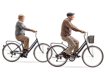 Two elderly gentlemen riding bicycles