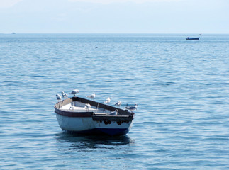Naklejka premium Seagulls rocking on fishing boat