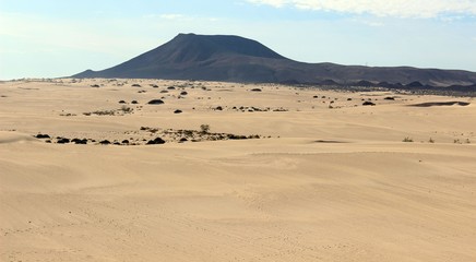 Fototapeta na wymiar Isole canarie, fuerteventura