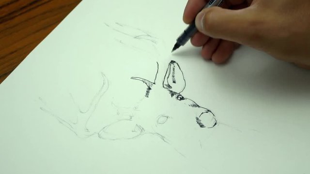 Close-up shot of a painter drawing with ink pen and making deer. Timelaps. 4K