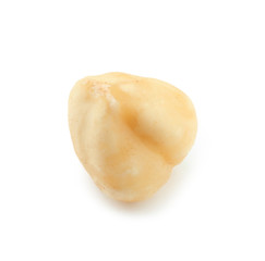 Peeled hazelnut on white background