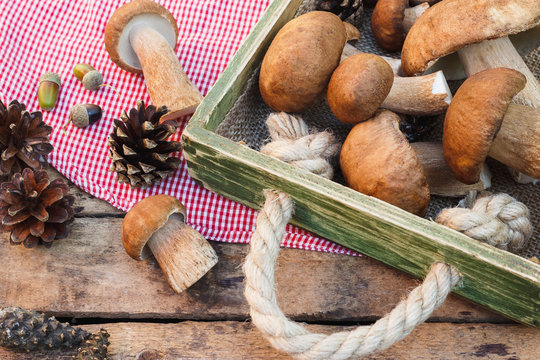 Mushrooms, pine cones with dry decorations on the wooden table
