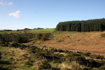 Obraz premium Dartmoor Crag