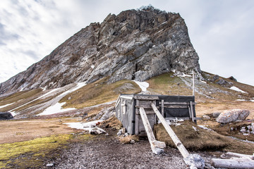 Gnall - ptasia góra © blackspeed