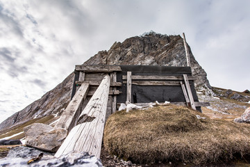 Gnall - ptasia góra © blackspeed