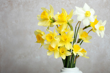yellow daffodils in a white vase