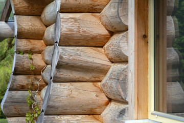 Log cabin home / Wall of house from logs