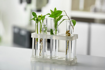 Test tubes with plants on table against blurred background