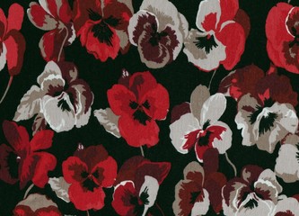 Pensées rouges et blanches.