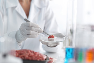 Scientist examining forcemeat in laboratory