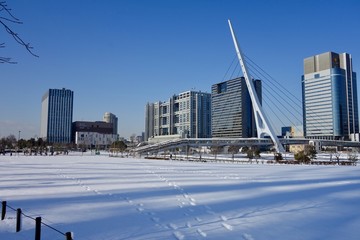 一面に雪が降り積もったお台場夢の広場付近