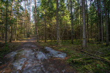 empty gravel road in the countryside in summer heat