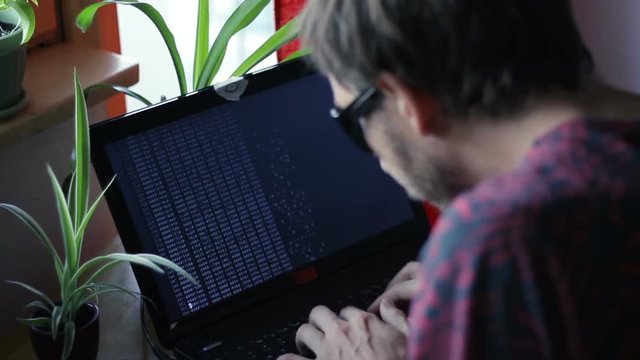 Freelance Programmer 