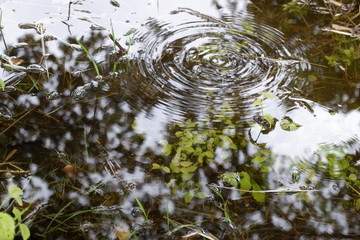 Goccia di pioggia infranta